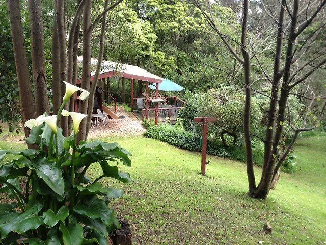 Stone\'S Throw Cottage Bed And Breakfast